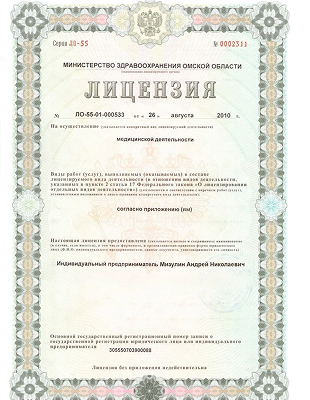 Лицензия 2